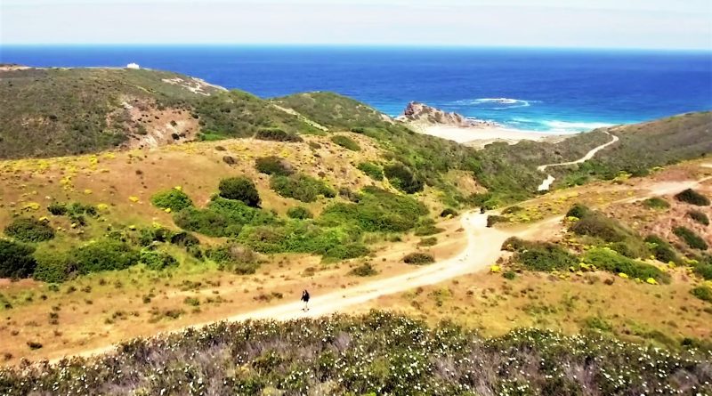 Algarve-Video wirbt für nachhaltigen Tourismus im Südwesten Portugals