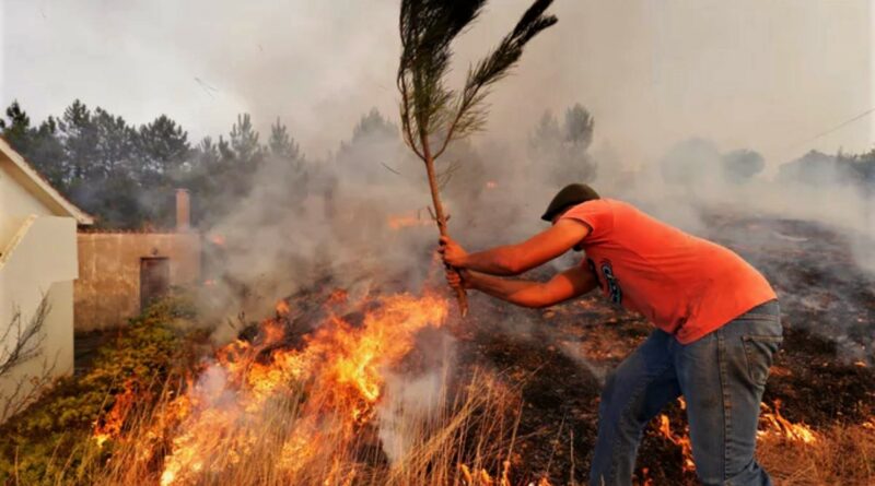 Portugal-Waldbrände wüten im Bezirk Castelo Branco nordöstlich von Lissabon